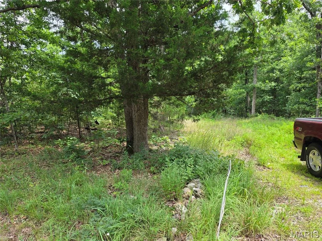 Photo of 23675 Grandview Road