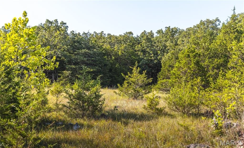 Photo of 2436 Highway 17