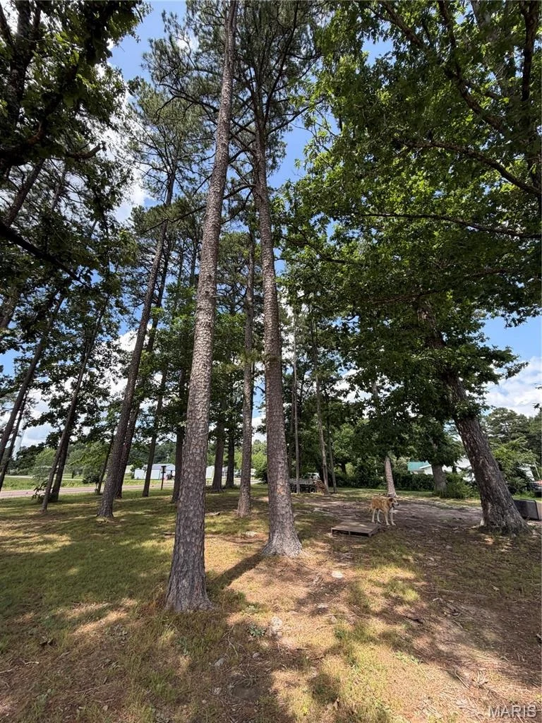 Photo of 9468 State Highway 19