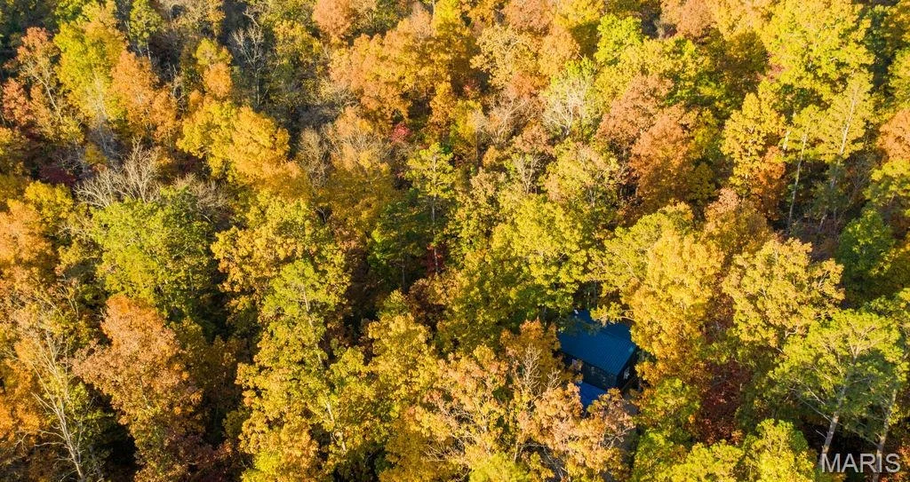 Photo of 17720 County Road 504