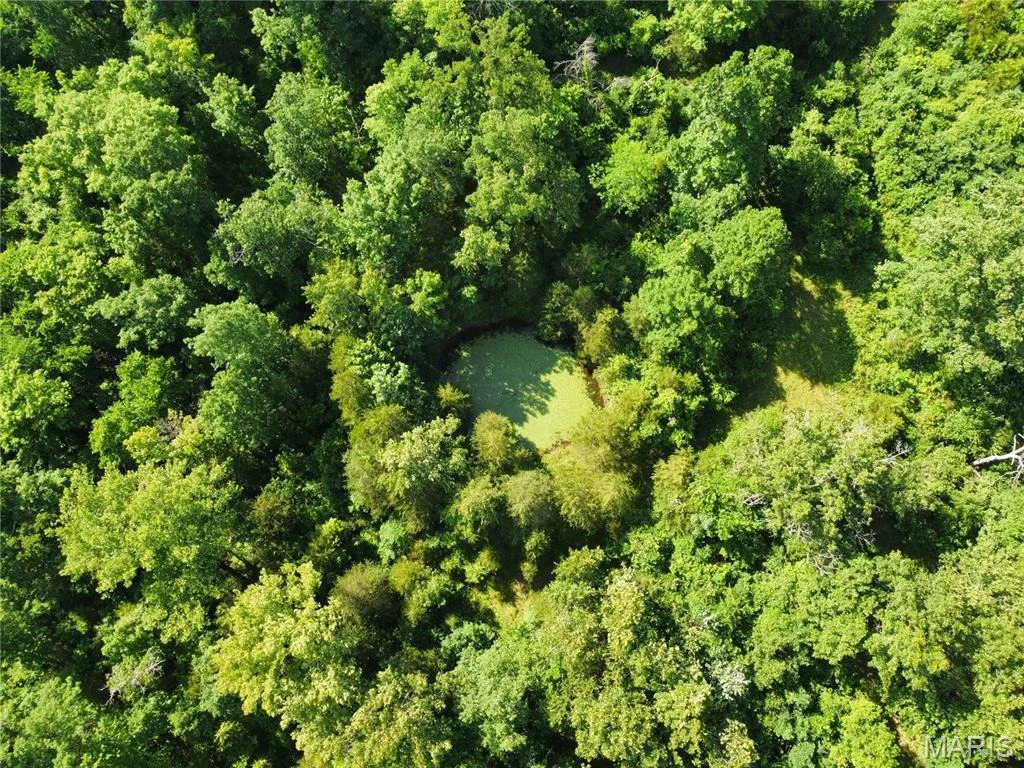 Photo of 12067 County Road 9030