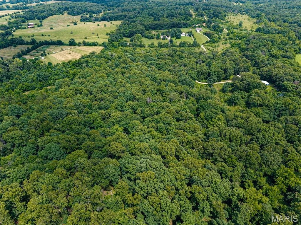 Photo of 7981 County Road 5090