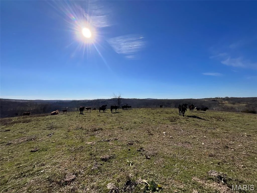 Photo of 594 County Road 873