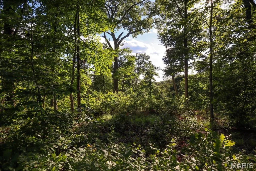 Photo of 00 State Road 94