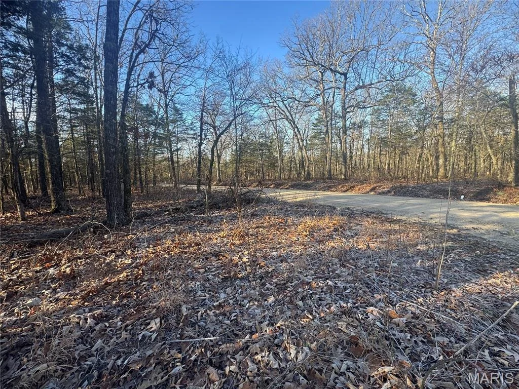 Photo of 42850 Maries Road 638