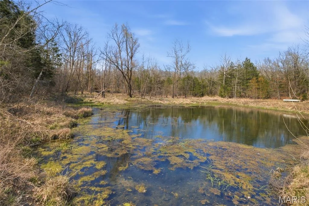 Photo of 2480 County Road 317