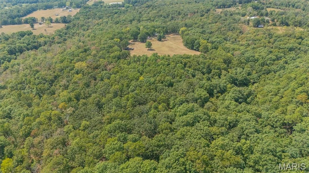 Photo of 12502 Bell Road