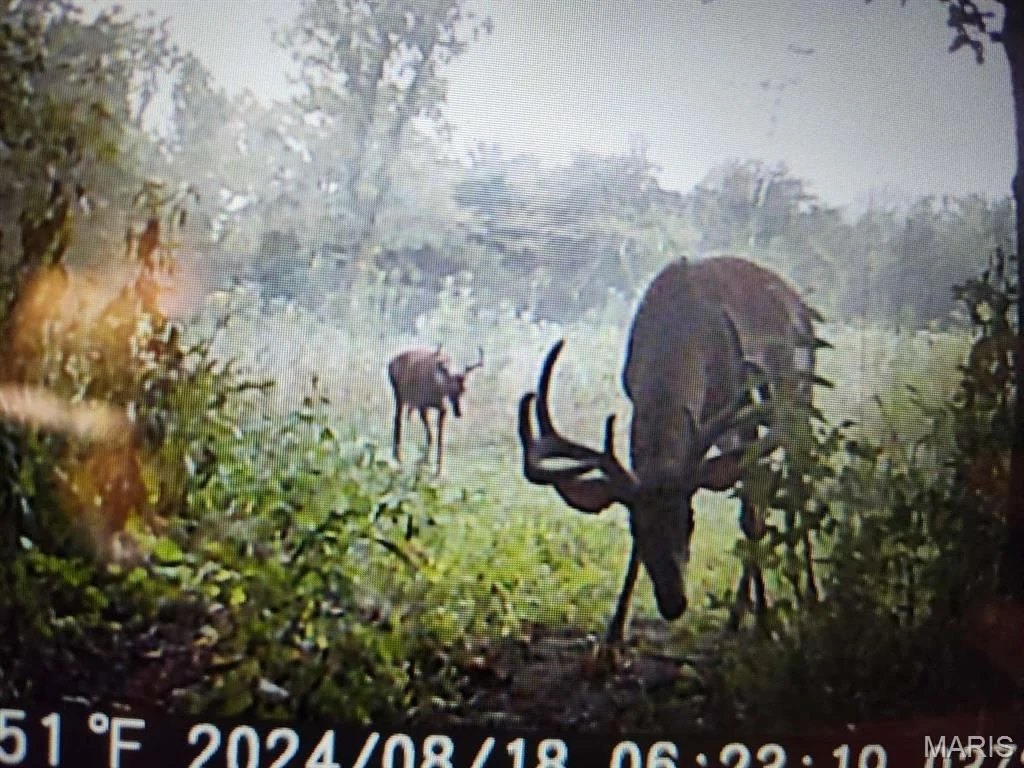 Photo of 0 Hwy E