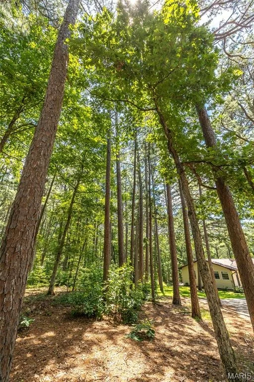Photo of 11545 Slaughter Road