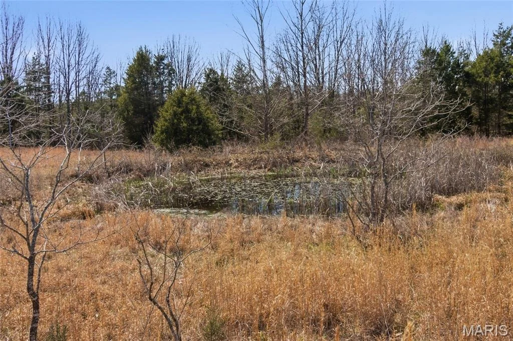Photo of 2480 County Road 317