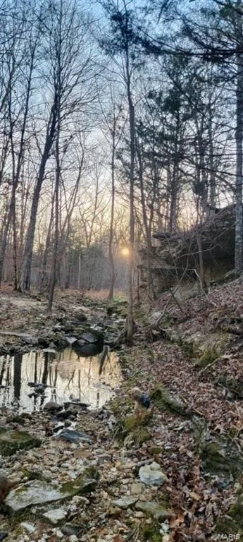 Photo of 12502 Bell Road
