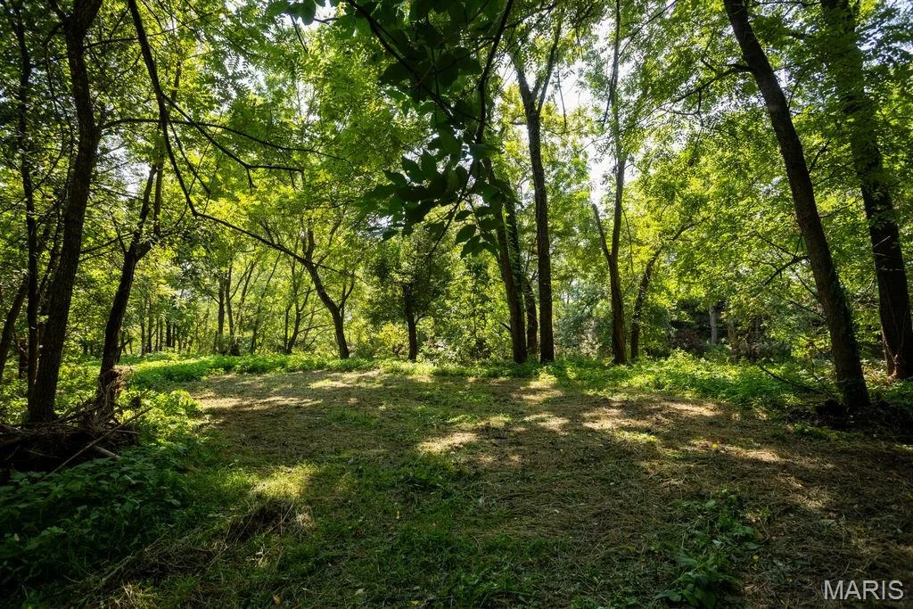 Photo of 56504 Shaw Road