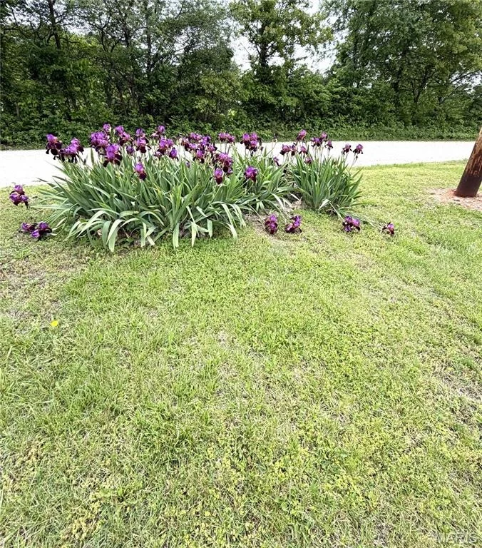 Photo of 2864 Spring Valley Road