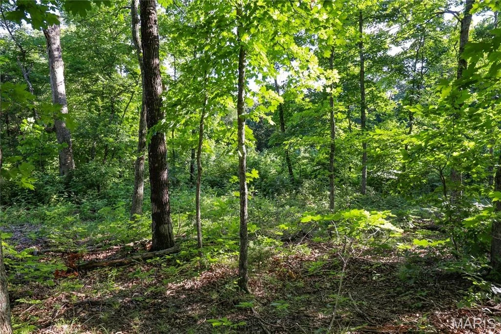 Photo of 00 State Road 94