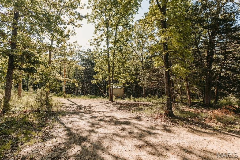 Photo of 12 Werifesteria Court