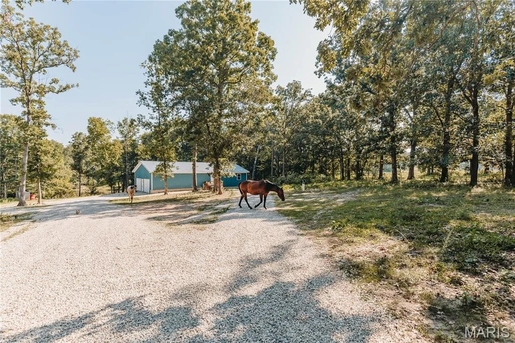 Photo of 21503 Highway 28 W