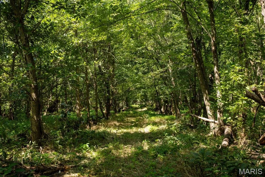 Photo of 56504 Shaw Road