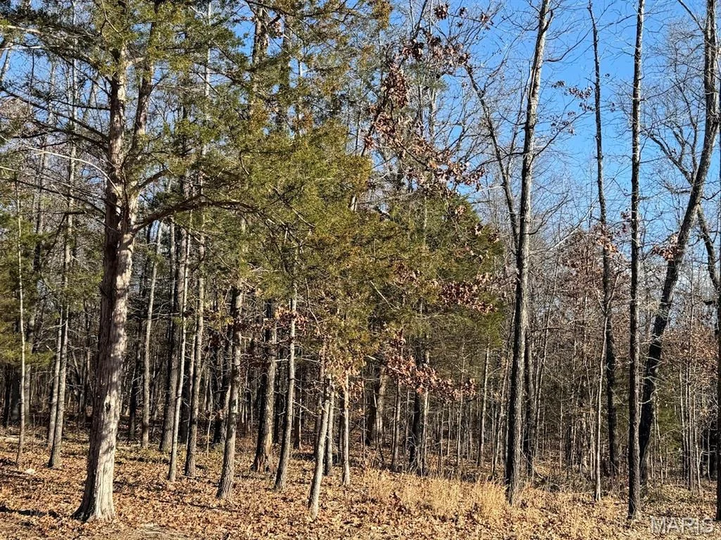 Photo of 9251 County Road 2960