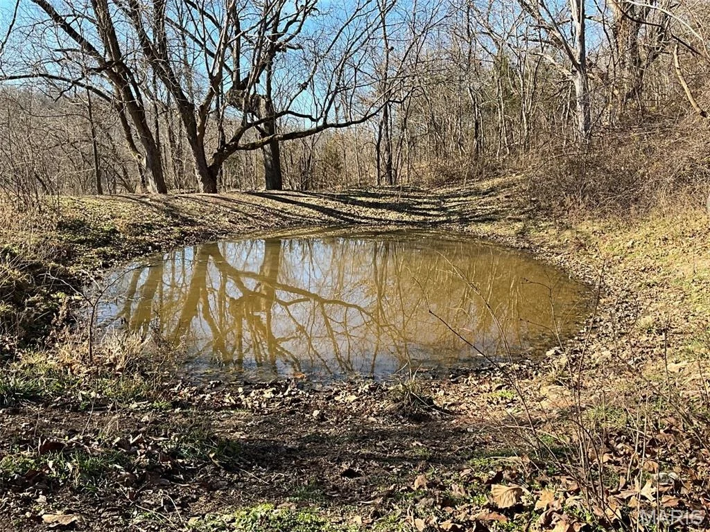 Photo of 594 County Road 873