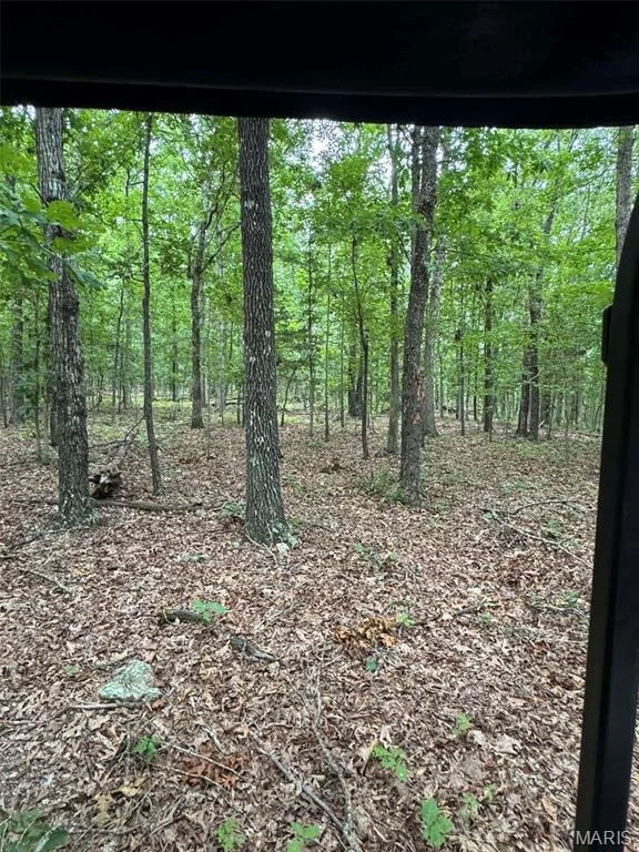 Photo of 5996 County Road 654