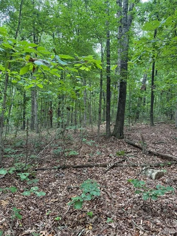 Photo of 5996 County Road 654