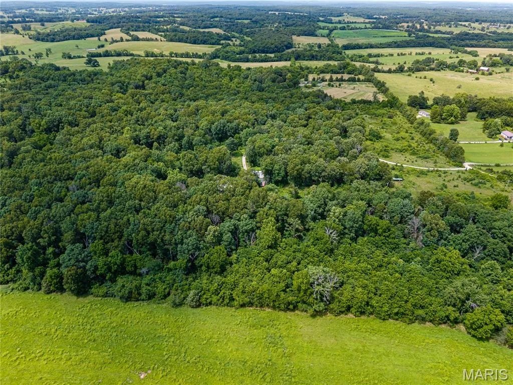 Photo of 7981 County Road 5090