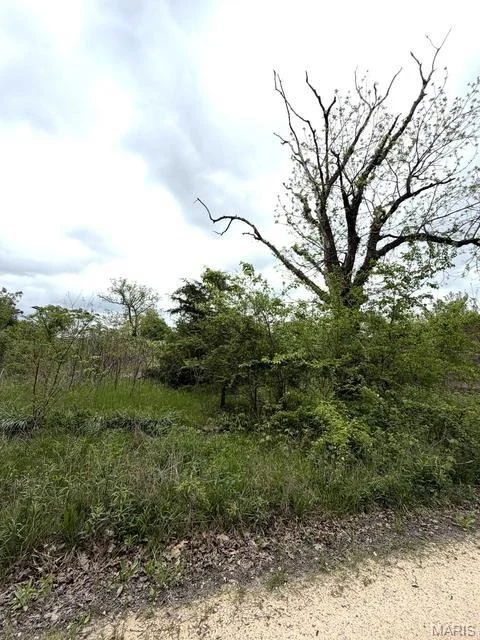 Photo of 6919 County Road 665