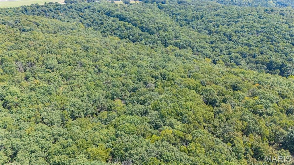 Photo of 14456 Highway FF