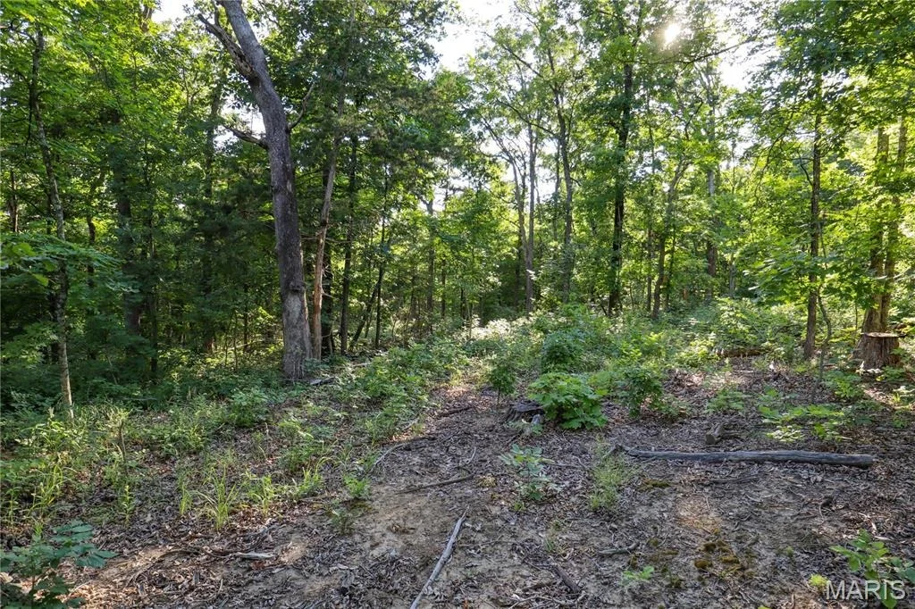 Photo of 00 State Road 94