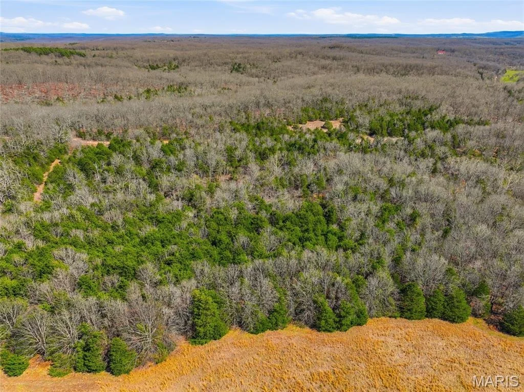 Photo of 2480 County Road 317