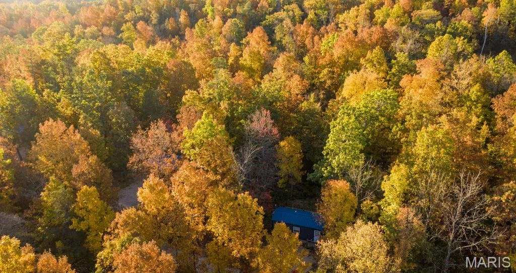 Photo of 17720 County Road 504