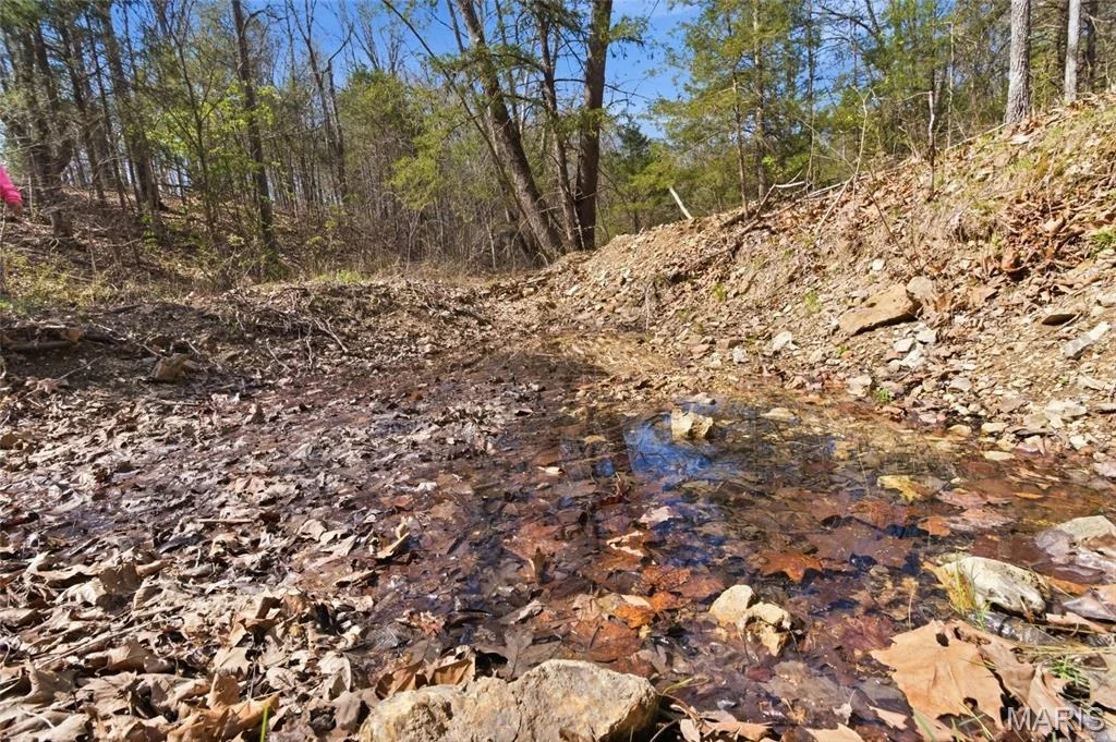 Photo of 2480 County Road 317