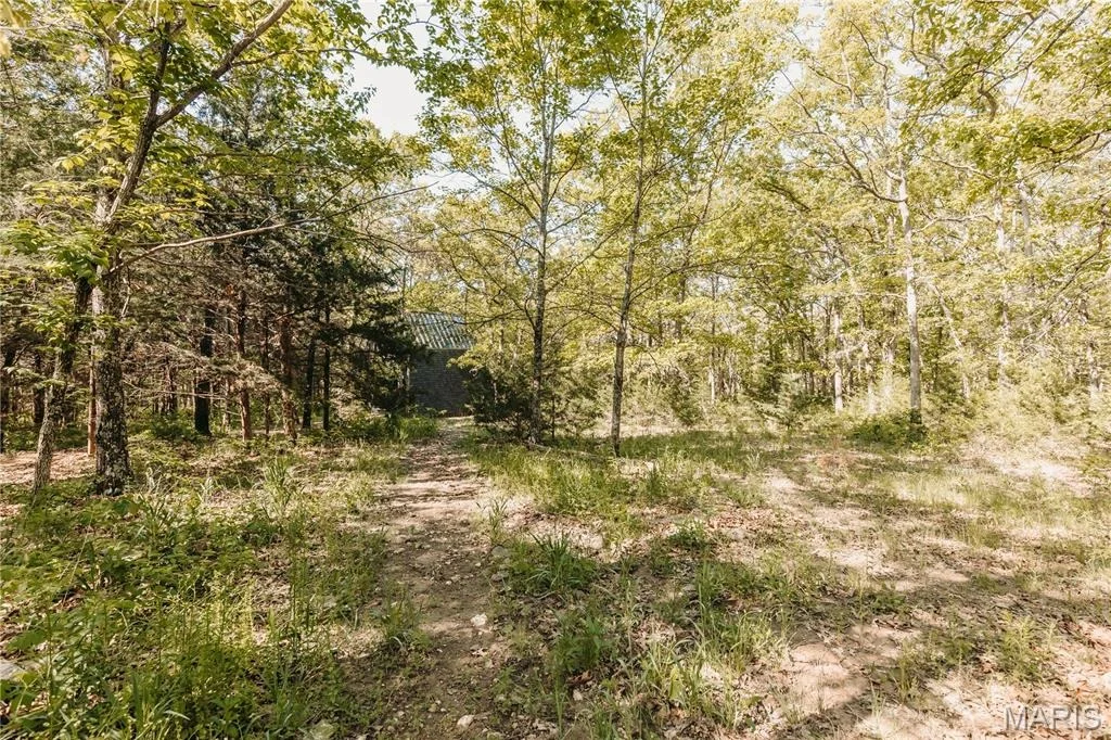 Photo of 12 Werifesteria Court