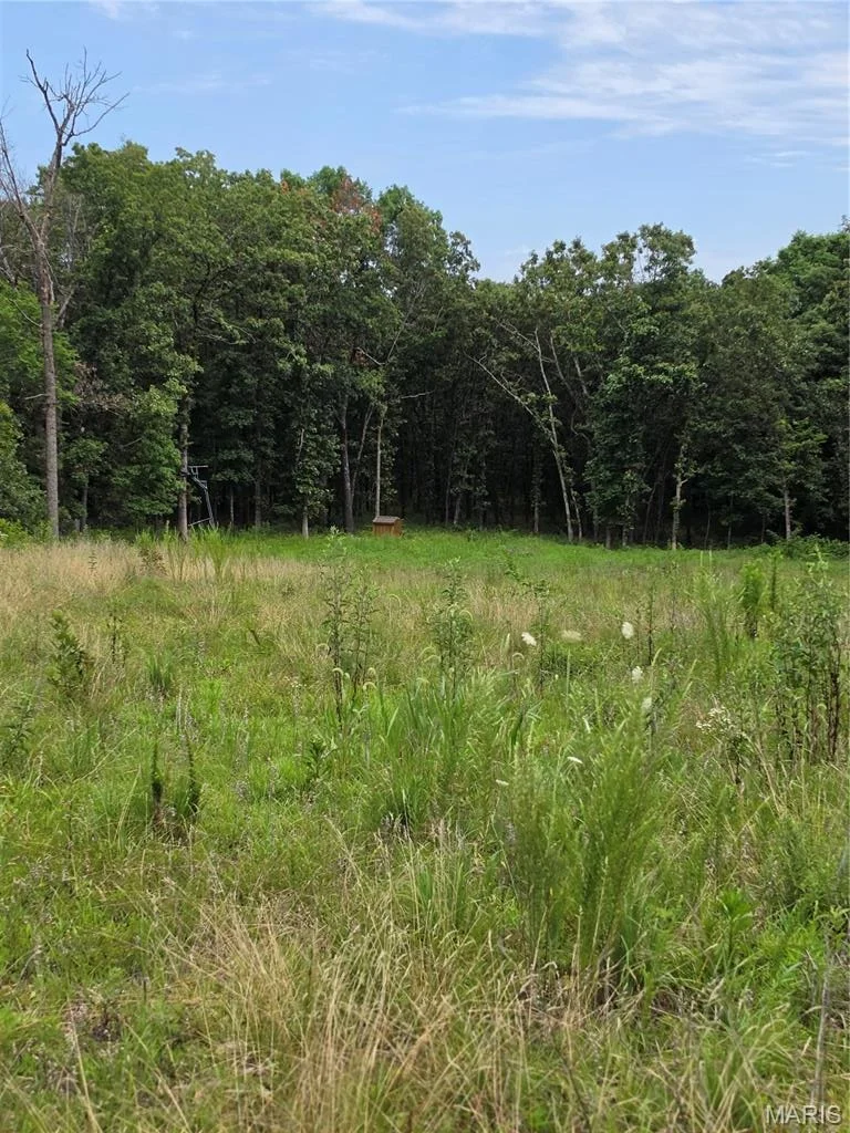 Photo of 23675 Grandview Road
