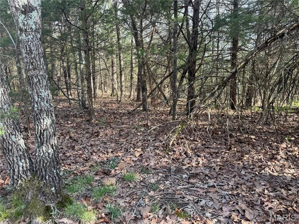 Photo of 19219 133 Highway