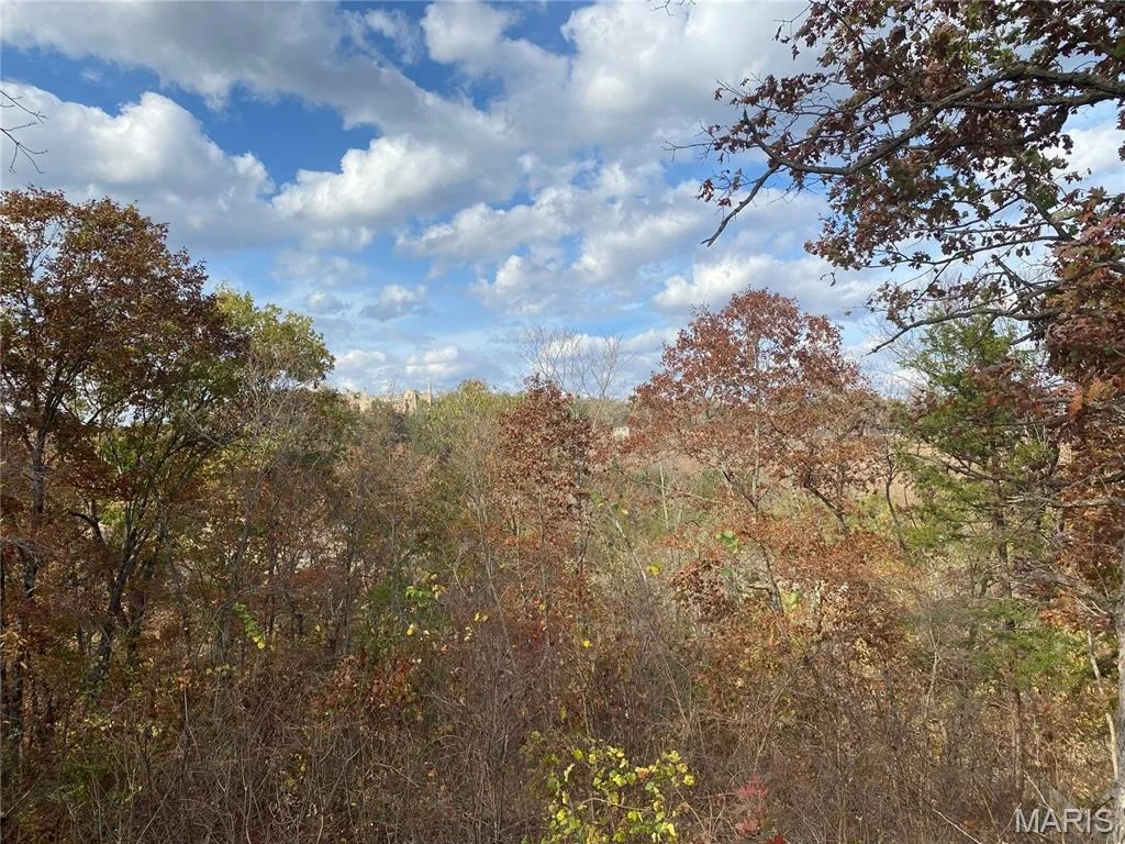 Photo of 813 Tonka Spring Road