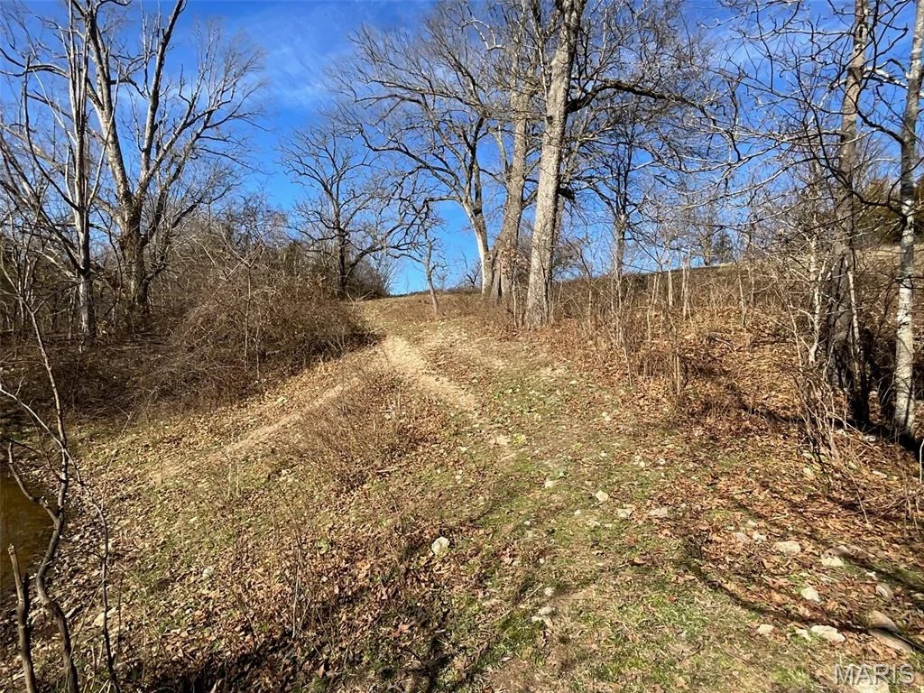 Photo of 594 County Road 873