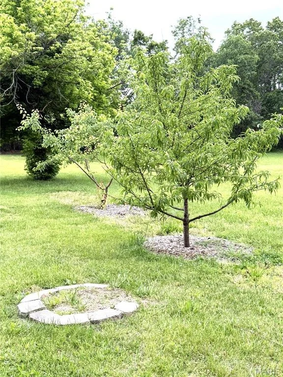 Photo of 2864 Spring Valley Road