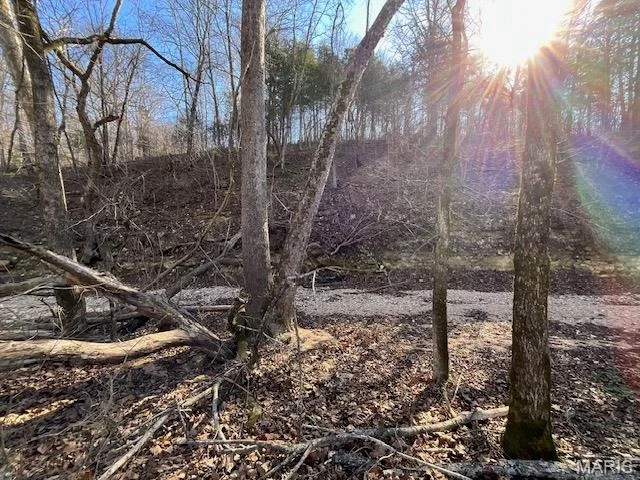 Photo of 594 County Road 873