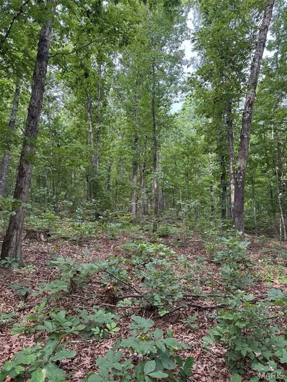 Photo of 5996 County Road 654