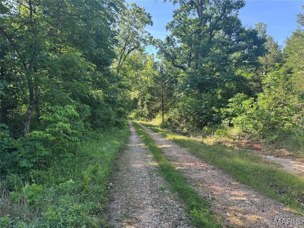 Photo of 12067 County Road 9030