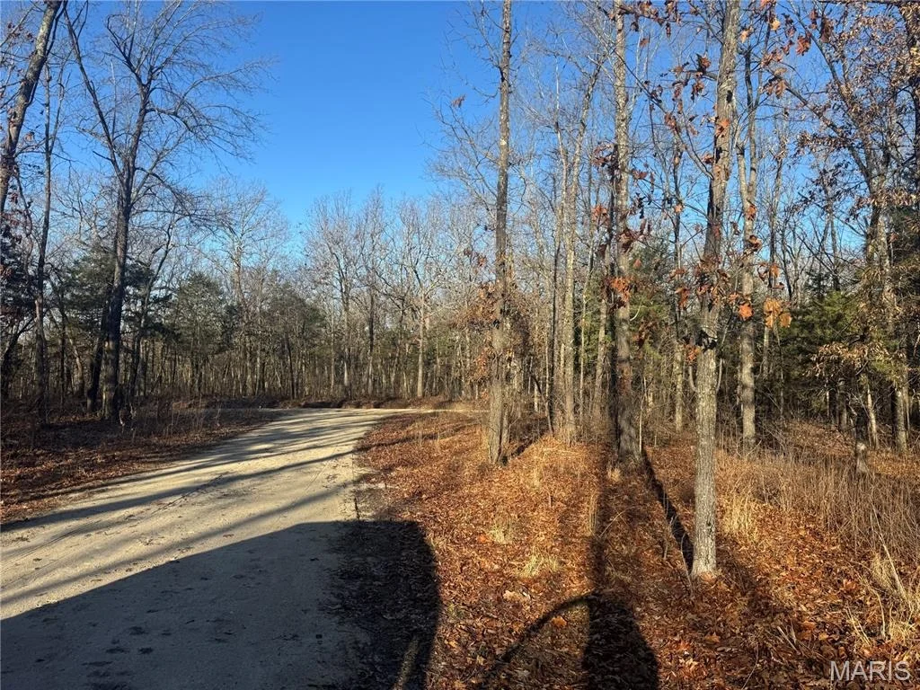 Photo of 42850 Maries Road 638