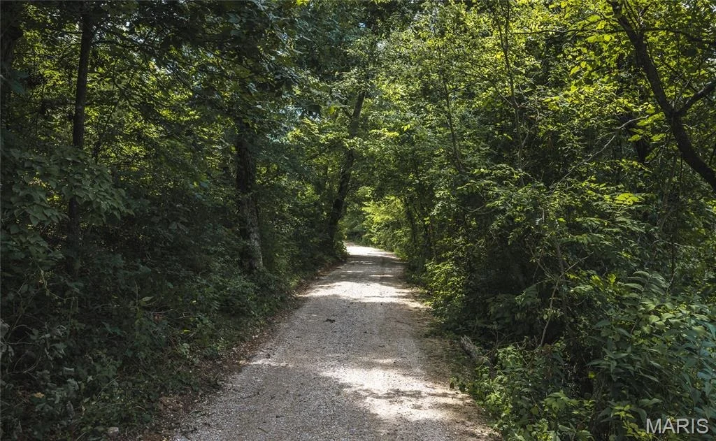 Photo of 13185 County Road 7570