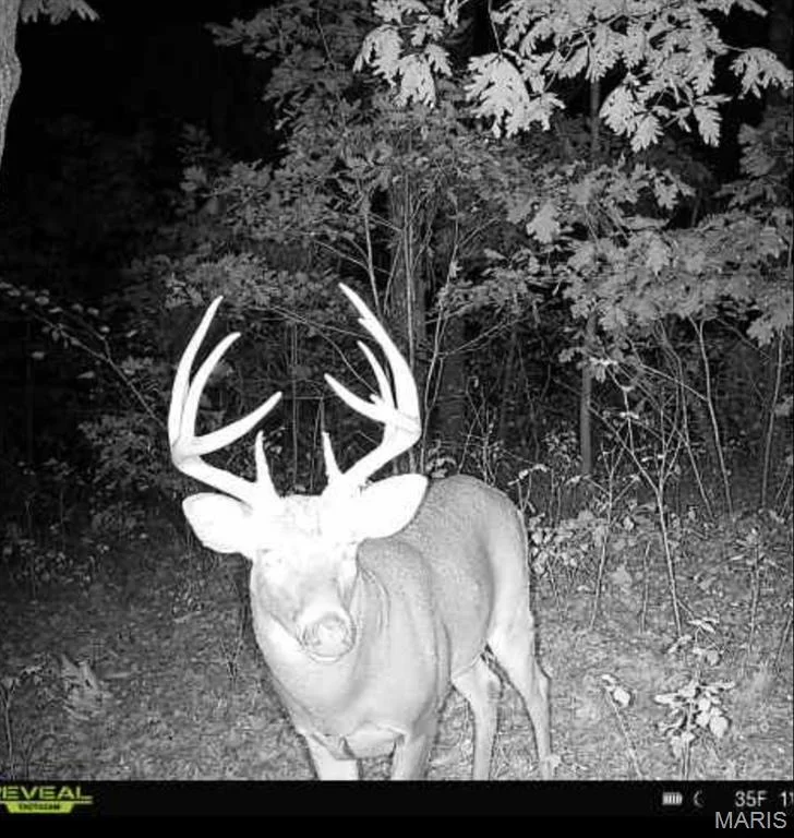 Photo of 25847 Pendleton Forest Road