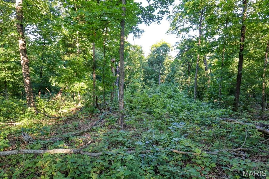 Photo of 00 State Road 94