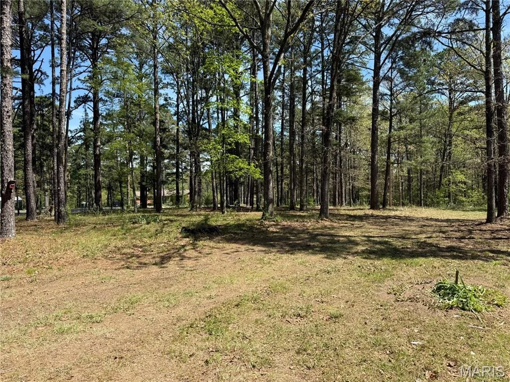 Photo of 16558 Hwy BB