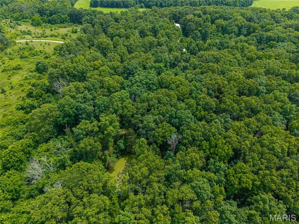 Photo of 7981 County Road 5090