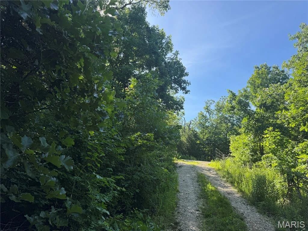Photo of 12067 County Road 9030