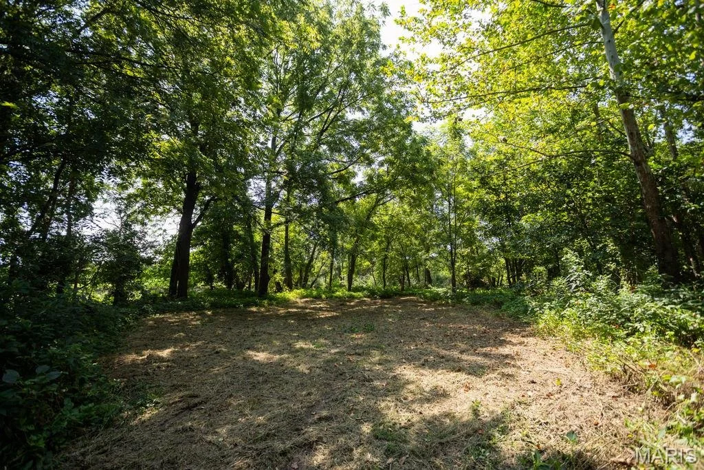 Photo of 56504 Shaw Road