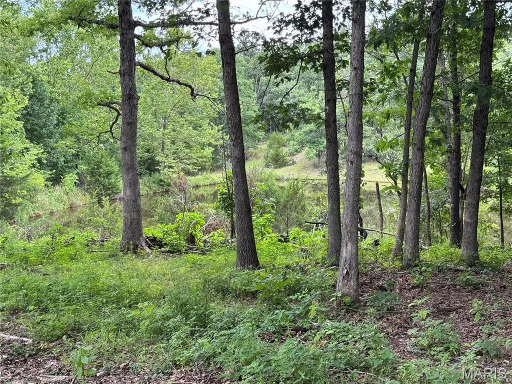 Photo of 21503 Highway 28 W